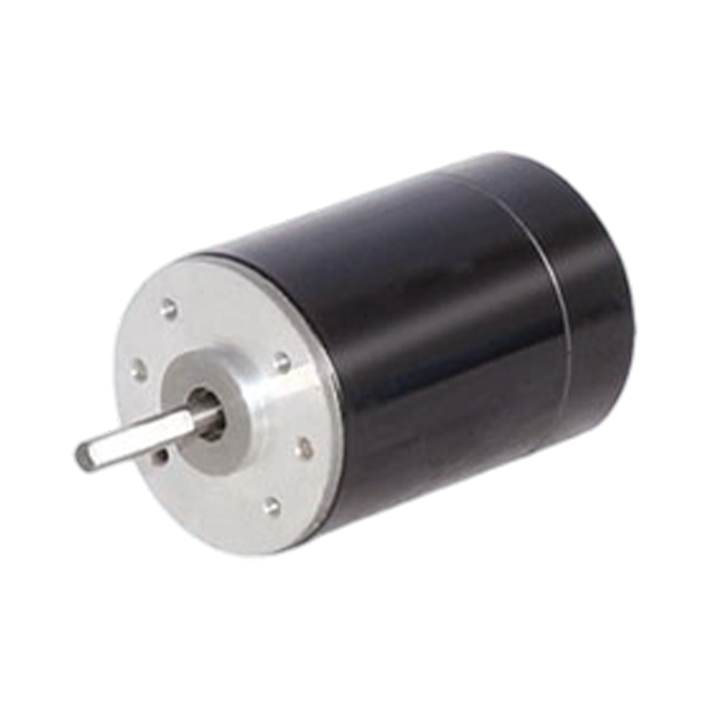 38ZY63 38 mm 24V/48V brušeni istosmjerni motor s trajnim magnetom