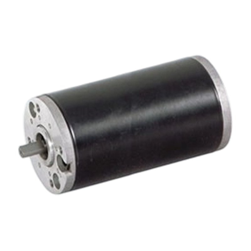 63ZY125 Brušeni istosmjerni motor visoke razine zaštite s trajnim magnetom od 63 mm